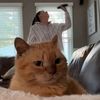 timmythechonk