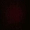 user567219443