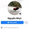 nhutnguyen1234564