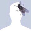username3837360