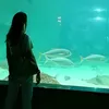 yulia_n1864