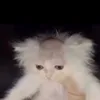 ace_just_nutted