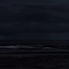 floree_19