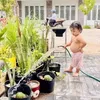 tuanpham1990hp