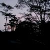nestaview
