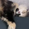 thuyphi_0412