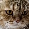 nineteen.cat