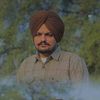 robinaslam9
