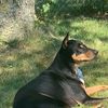 thadrie