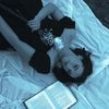 faerybehavior
