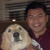 danthedinh