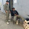 shahareli23