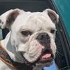 ruff_time