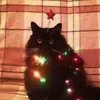 gatolho