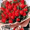 user8dysrwpfp2