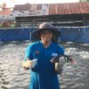 acelpembudidayaikan_