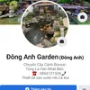 donganhbonsaigarden