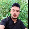 user2919154498087