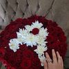 shdlva_a