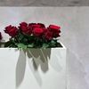 nawaly674