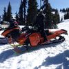 shawzy_1199