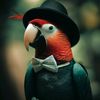thedapperparrot