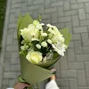 zapareen_49