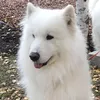 lblessedwoman