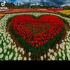 user8521271495357