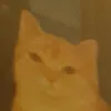 eggomccool