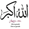 jamilaghazal0