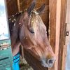katelyn_sackie2188