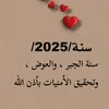 mr_tsog