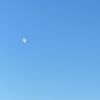 user29405820_