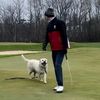 jss_golf