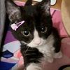 lisanne_blink