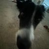 rileydav2004