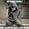 yaderniymuravey