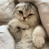 dddiiieee48