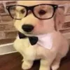 dabiscrispbutt