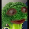 agera_akulaa