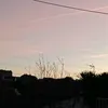 onemomentplease2