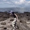 ng_anhmai