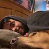 alexanderbulldog