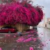 sihamsiham9352