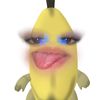 lichhnr