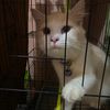 rizki_alviannn