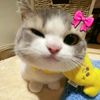 lee_08090