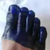 pandurata_lindl