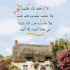 user8657587183388
